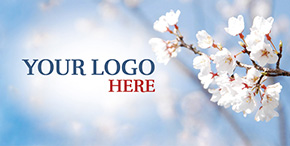 GM70 White-Cherry-Blossoms-on-Blue PHT