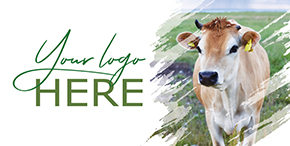 GQ81 Farm-Life-Cow PHT