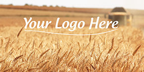 GQ88 Wheat-Field-2 PHT